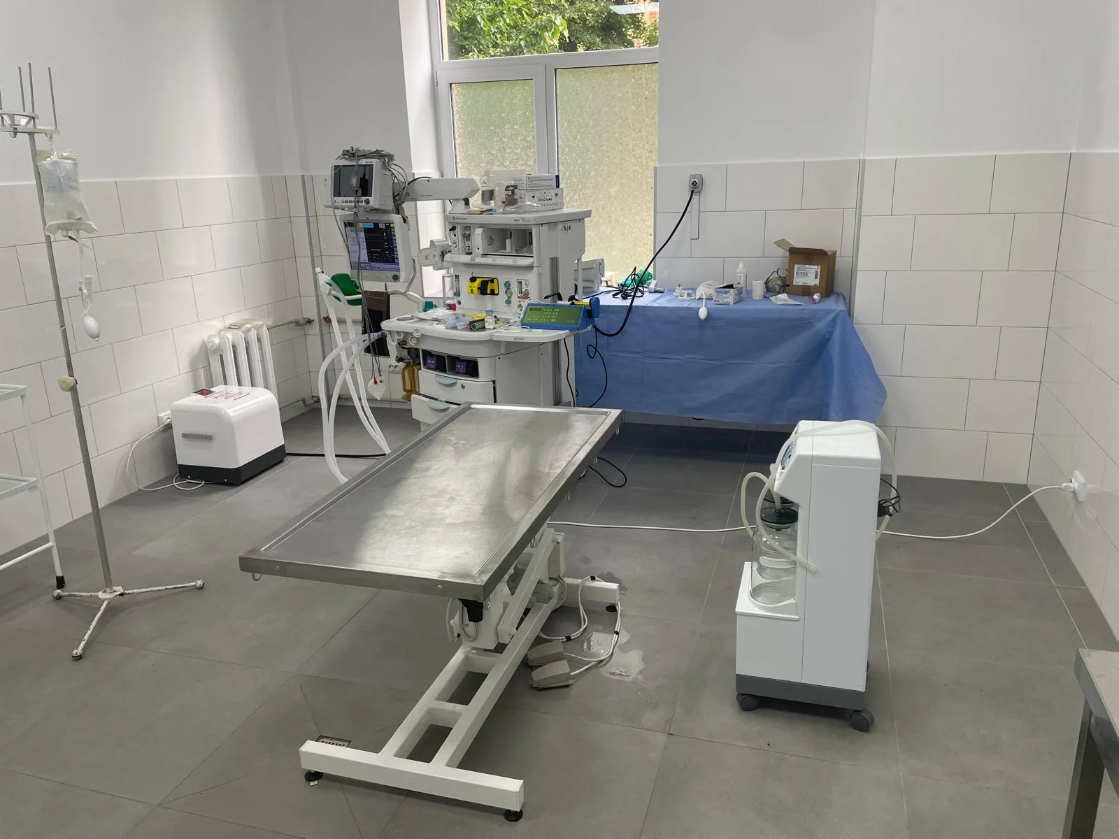 Salle de soins vétérinaires avec équipements médicaux